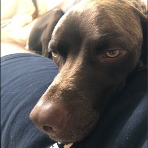 Meet your Posher, Wes